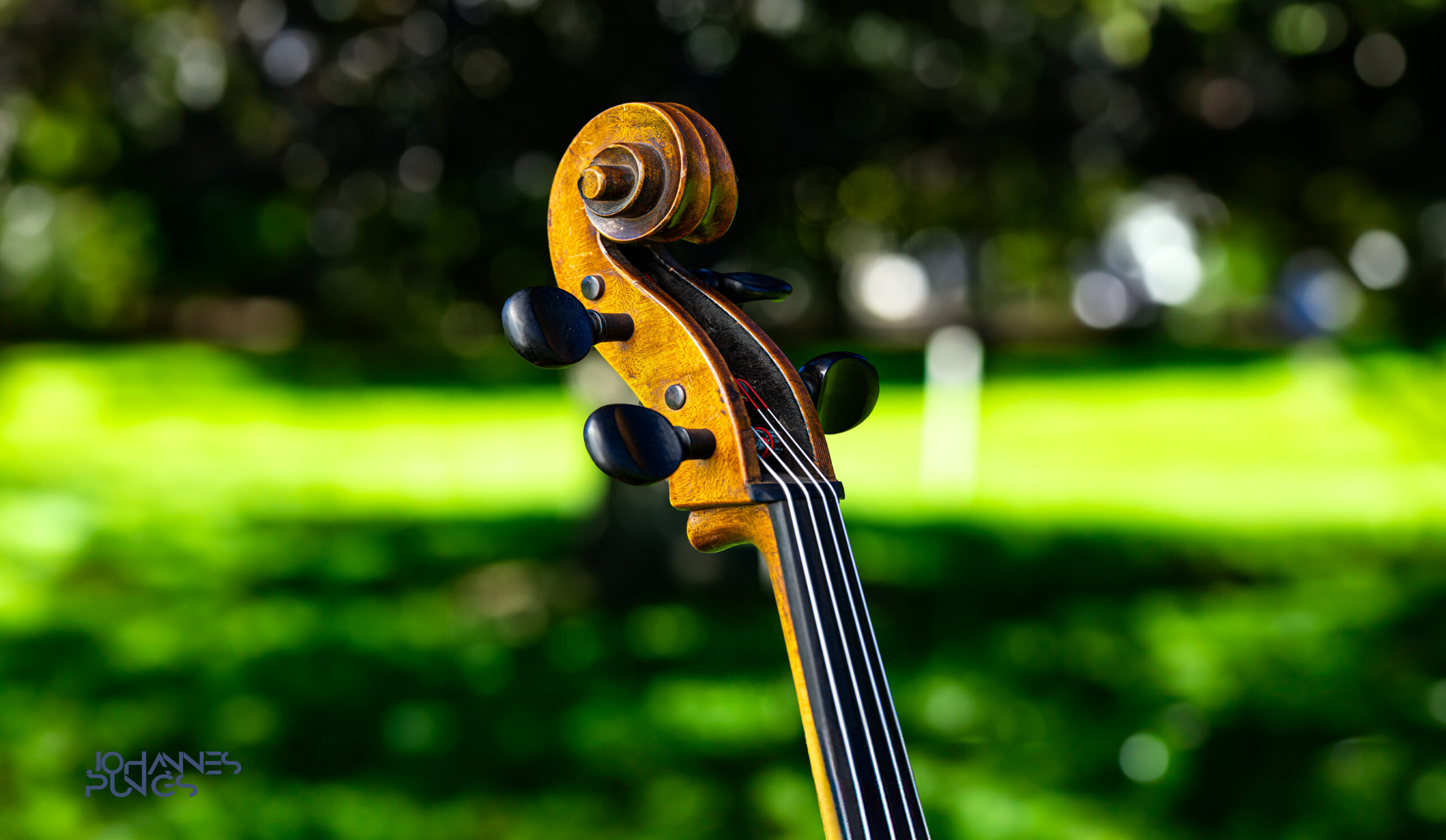 Du betrachtest gerade Sommermusik am 04. Juli 25 ab 19.00 Uhr im Kirchengarten